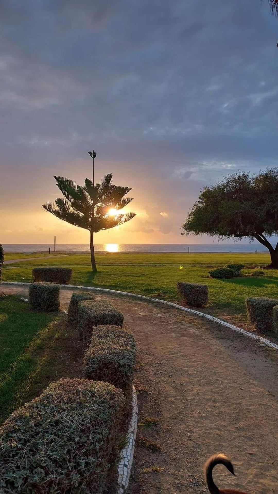 Apartamento Magic World Nueva Marina D'Or 2 Dormitorios Edificio Torremar Oropesa del Mar Buitenkant foto